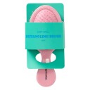 Soft Spell Wet Brush Mini Pink