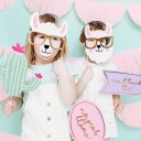 Partydeco Fotorekvisita Lama Party 5-pakning KNP34