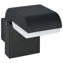Utendørs LED vegglampe 9 W svart oval