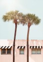 Hotel Miami Plakat Plakat / 21x30cm