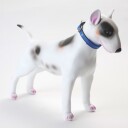 Halsbånd hund  Polstret Hundehalsband  blå/Svart