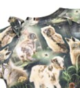Molo Collegegenser   Disk   Fabel Forest   Molo   1 år (80)   Collegegenser Armygrønn Beige Brun Grønn