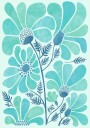 Himalayan Blue Poppies Plakat Plakat / 50x70cm