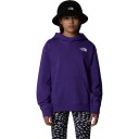 The North Face Vertical Graphic Oversized Hettegenser Barn Lilla 162 165