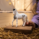 Schleich Marwari Hingst Figur - 11 cm - Lekedyr i Plast