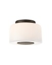 Acme Small Flush Mount