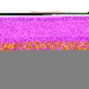 Wheat   2 delt Sett Alicia Rose Flowers   122