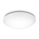 Philips Suede ceiling lamp 24W