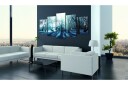 Bilde Blue Glade 200x100 Artgeist sp. z o. o.