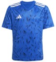 Adidas Performance T skjorte Icon25 Royblu/White Adidas Performance 16 år 176 T skjorte Blå
