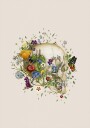 Floral skull Plakat Plakat / 70x100cm