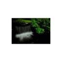 Panasonic Lumix S Pro 24-70mm f/2.8 Normalzoom med L-fatning