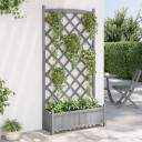 Plantekasse med espalier grå heltre gran