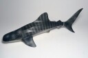 Figur Collecta Hval hai 24,5cm