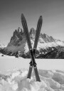 Crossed Skis Plakat Plakat / 50x70cm
