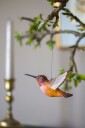 Wildlife Garden DecoBirds Håndskåret Fugl Rødkolibri