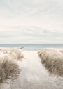 Sandy Path To The Sea Plakat Plakat / 100x150cm