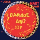 The Jesus And Mary Chain Damage And Joy Limited Edition Vinyl
