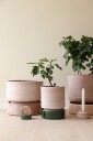 Bergs Potter Hoff Raw Ø 21 cm Tallerken Rosa