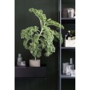 ferm LIVING Plant Box svart