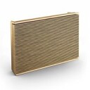 Bang & Olufsen Level x2