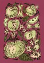 Green Apples and Blossoms Plakat / 30x40