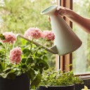 Hay Botanical Family vannkanne 2l lys grå