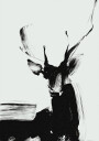 Abstractdeerno01 Plakat Plakat / 40x50cm