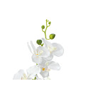 Europalms Orchid, Artificial Plant, White, 80cm