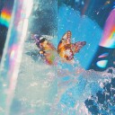 Daphni  Butterfly  CD