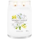 Yankee Candle Midnight Jasmine Signature Jar Large