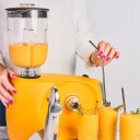 Ankarsrum Assistent Original Blender
