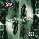 Ash 1977 30th Anniversary Limited Edition Vinyl Green Black Inkplosion