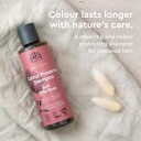 Urtekram Soft Wild Rose Fuktighetsgivende Sjampo for Farget Hår 500 ml
