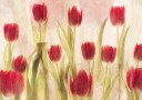 Happy tulips Plakat Plakat / 70x100cm