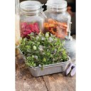 Nelson Garden Micro Leaf Minidrivhus 1-boks, Avling