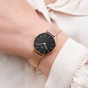 Daniel Wellington DW Klokke Petite Melrose 28mm Roségull