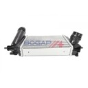 BOGAP N4220100 Intercooler