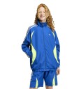 Adidas Originals Teamgeist Lo Tt   Blue   140