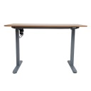 Skrivebord HOME4YOU Ergo Light med 1 motor 120x60x73-118 cm Eik/sølvgrå - eik/sølvgrå