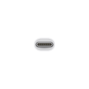 Apple Thunderbolt adapter  hvit 