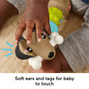 Fisher Price Infant – Click and Spin Activity Pup HTW91