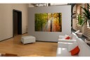 Bilde A calm autumn forest 90x60 Artgeist sp. z o. o.
