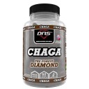 DNS 100% Chaga - 60 Kapsler