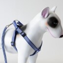 Selesett I Duse Farger: Sele Og Hundekobbel