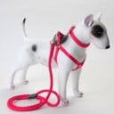 3 Delers Selesett Til Hund: Sele/Halsbånd/Kobbel