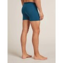 Icebreaker Men"s Anatomica Boxers Atlantis M