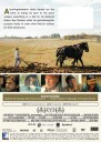 Green And Gold 2025 DVD
