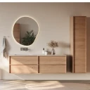 Silhouet Servantkran For Innbygging Borstet Stal