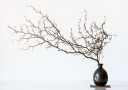Vase And Branch Plakat / 70x100cm